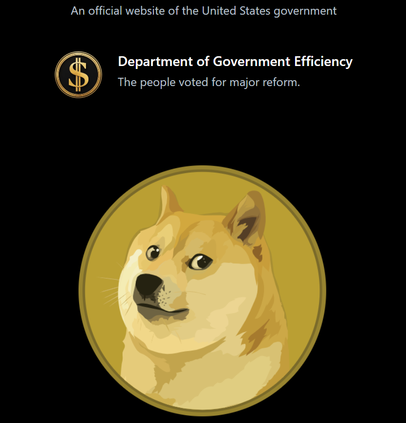 Скриншот сайта DOGE