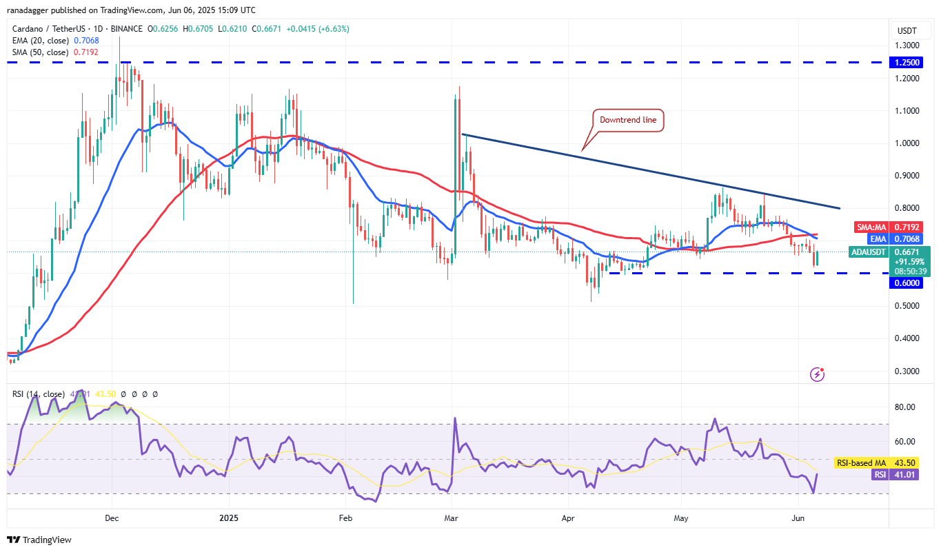 Cardano — протест поддержки