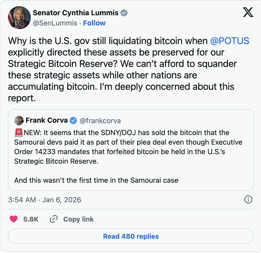 Синтия Ламмис I X-Post