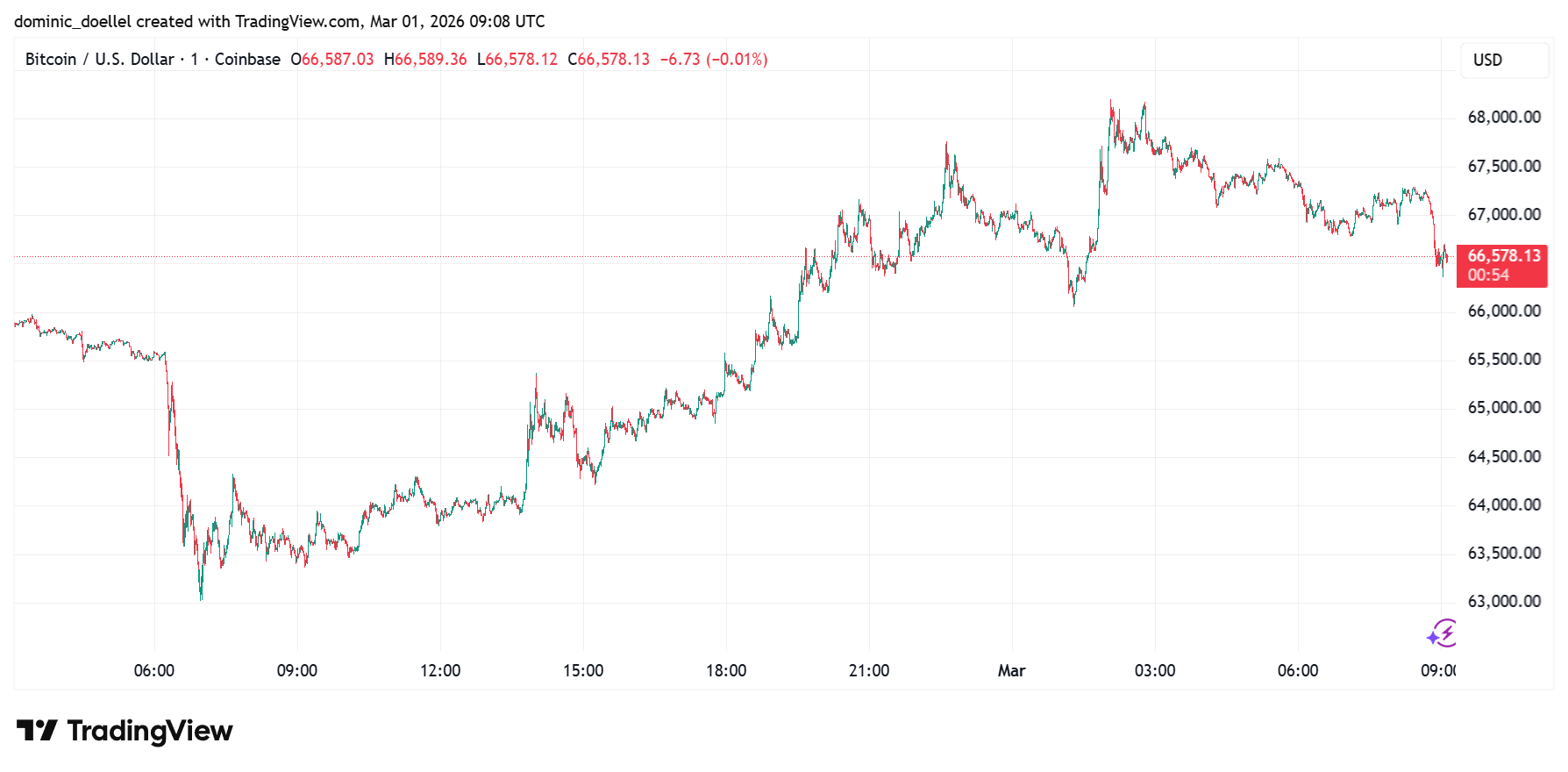 Bitcoin remains highly volatile | Source: TradingView