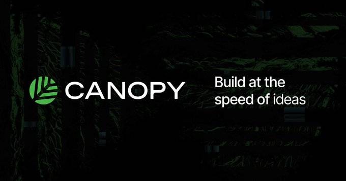 What Is Canopy Network? AI-Native Framework for Building Appchains