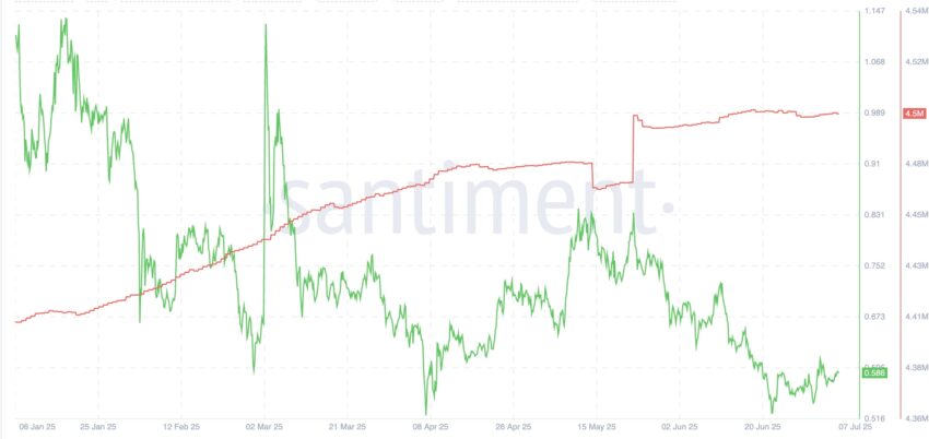 ADA holders reach all-time high