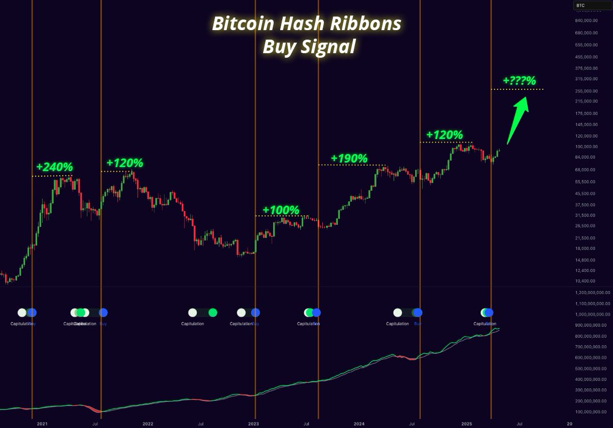 Скрин Данные Bitcoin Hash Ribbons 