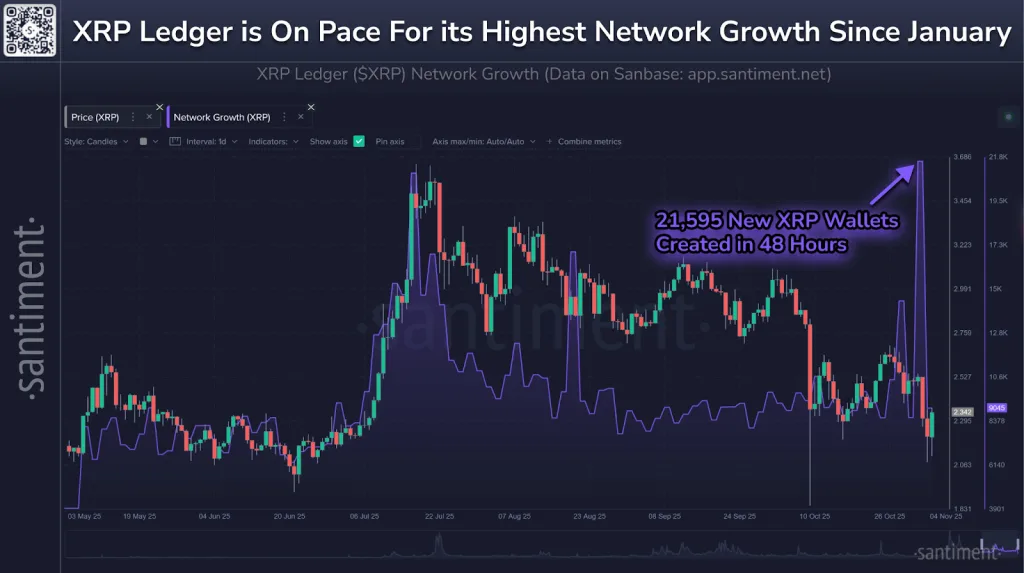 Network growth fuels new market momentum