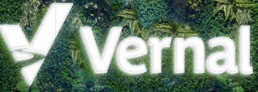 Новый инкубатор Vernal — ставка на качество