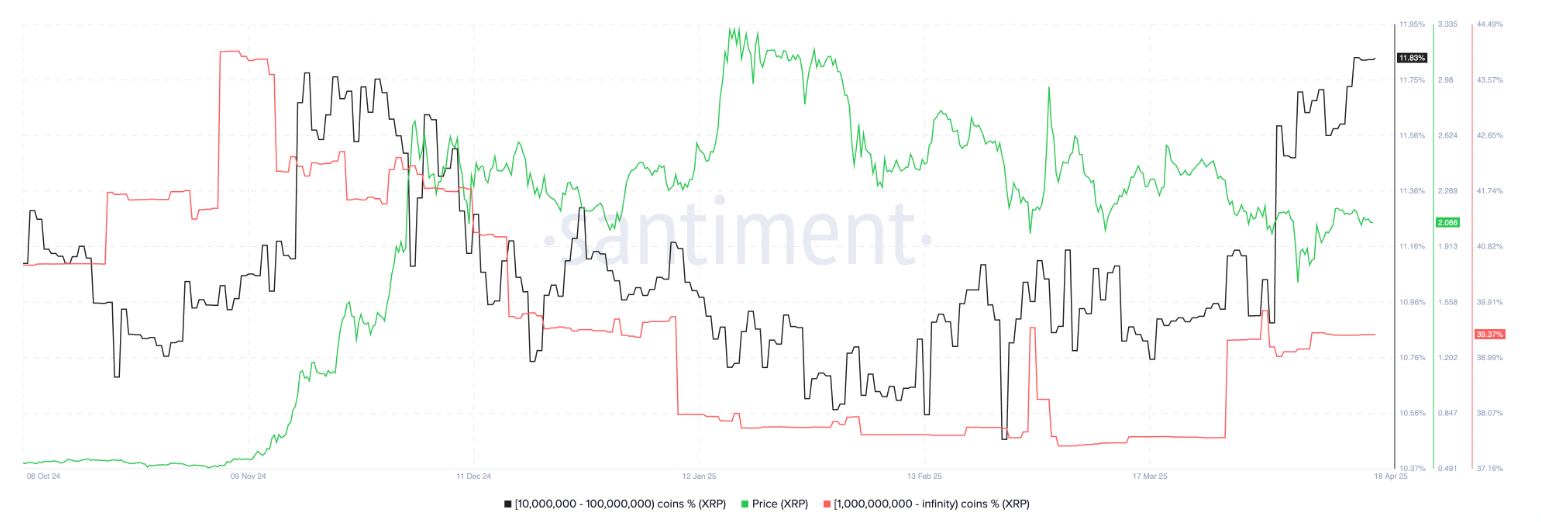Распределение поставок XRP. Источник: Santiment