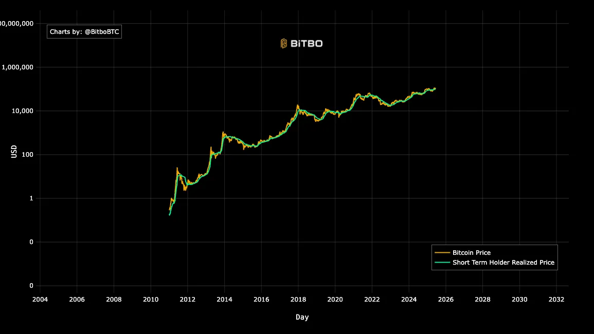 BTC: средняя прибыль долгосрочных держателей превышает 215%. Краткосрочные держатели биткоинов получают гораздо меньшую прибыль, средняя цена покупки составляет $97 911. Источник: Bitbo