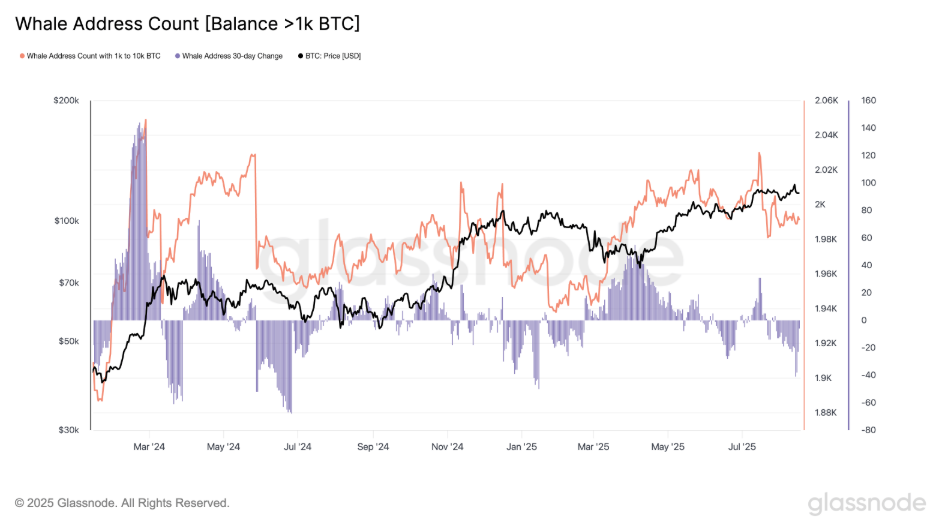Number of addresses with over 10,000 BTC