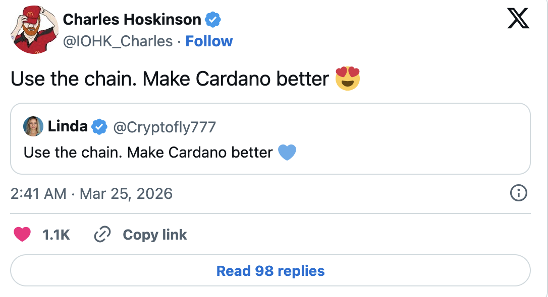 Use the chain. Make Cardano better