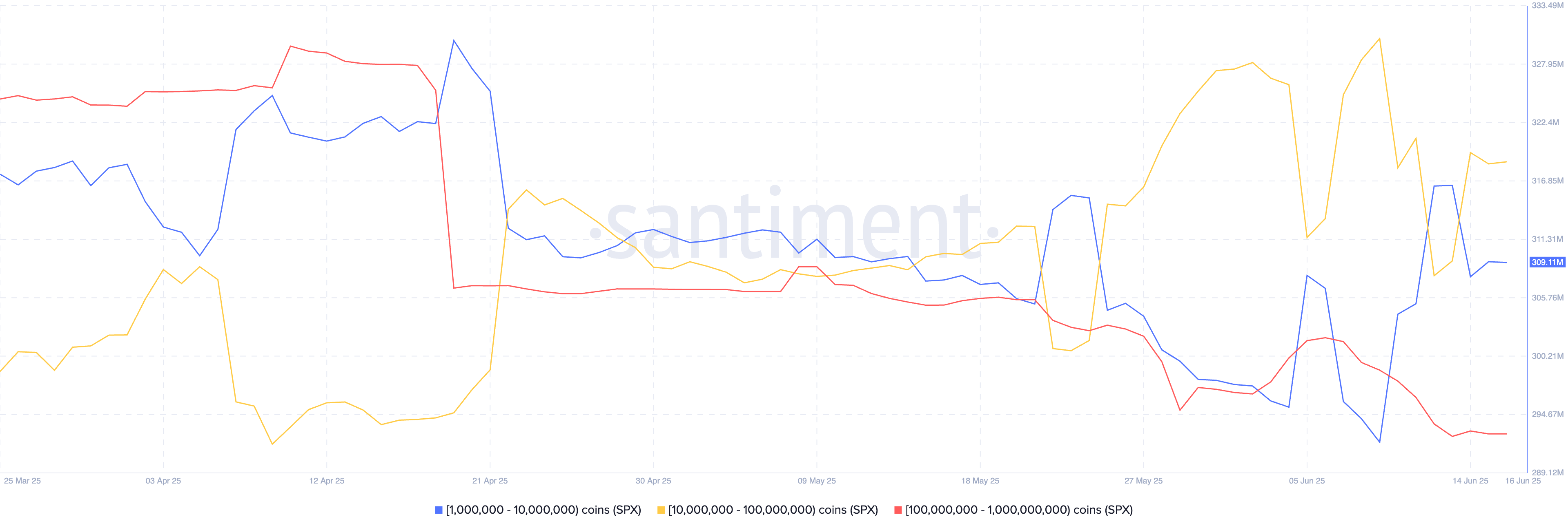 Распределение SPX6900: фокус на средних и крупных китах. Источник Santiment