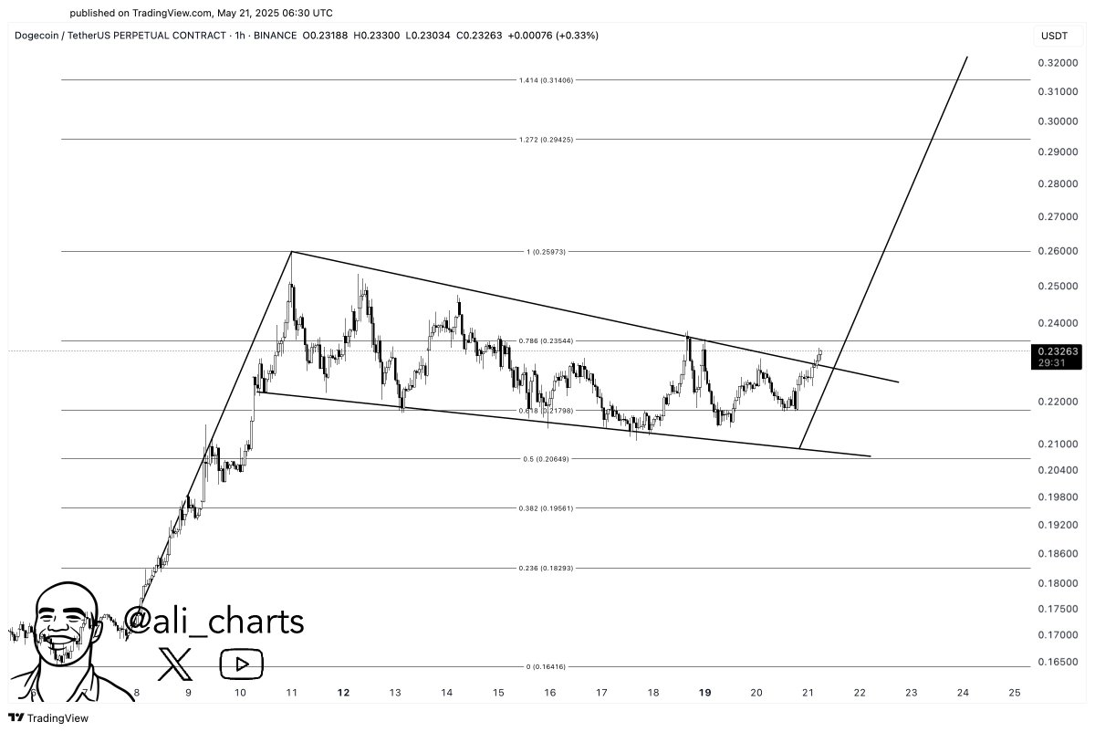 Dogecoin: ключевые фибо-уровни и цели